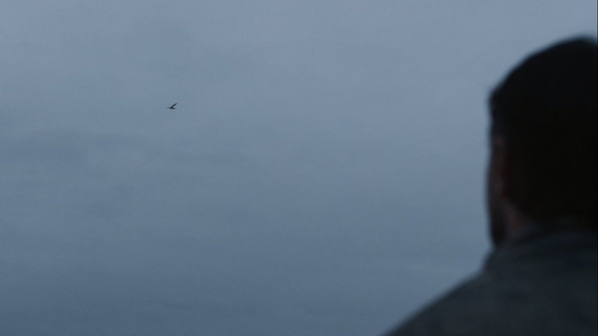 screenscaps's tweet photo. hamnet (2025) dir. chloé zhao https://t.co/EMGUB8ACYd