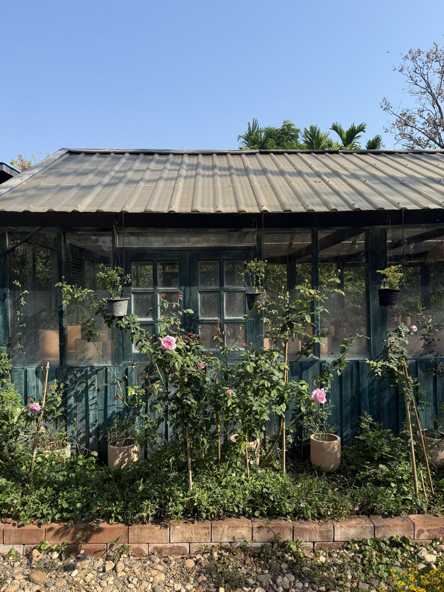 Goood Morninggg แวะมาเก็บไข่ตอนเช้าา🥚 ความฝันลลิอย่างนึงคือมีฟาร์มเล็กๆแบบนี้เลยย🥺⛲️🪴🪏