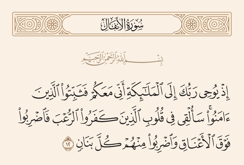 FATIM929's tweet image. 