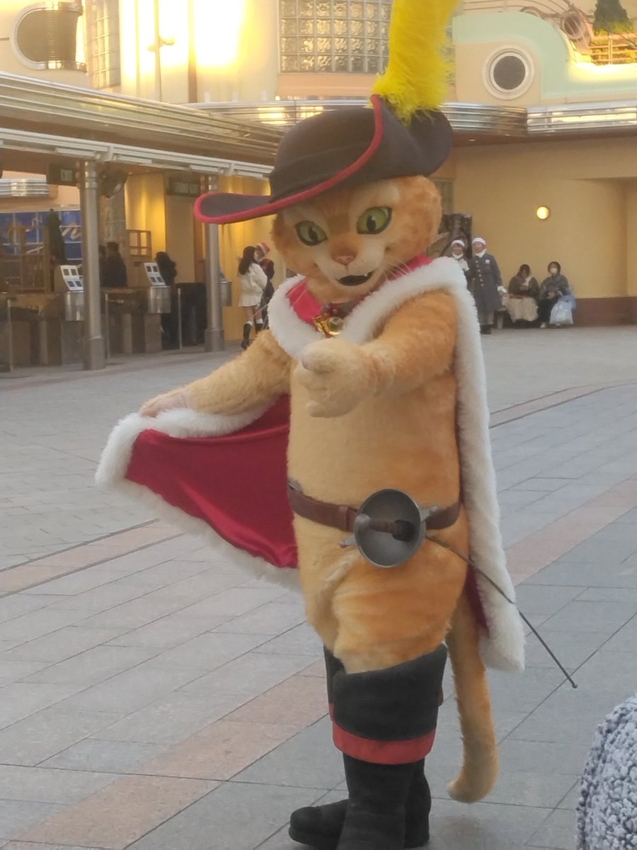 #猫の日 
ねこちゃん！