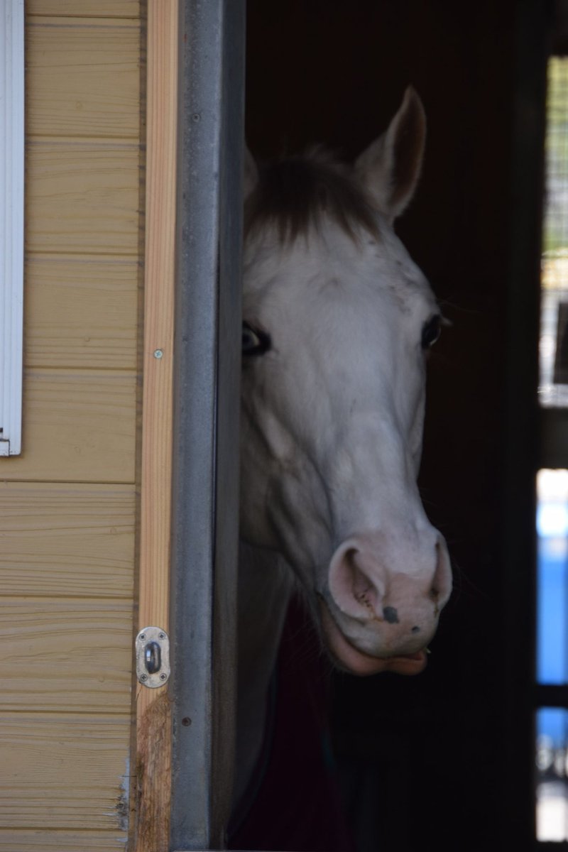 yousuke (@nsw0hqOoZI41867) / Posts / X