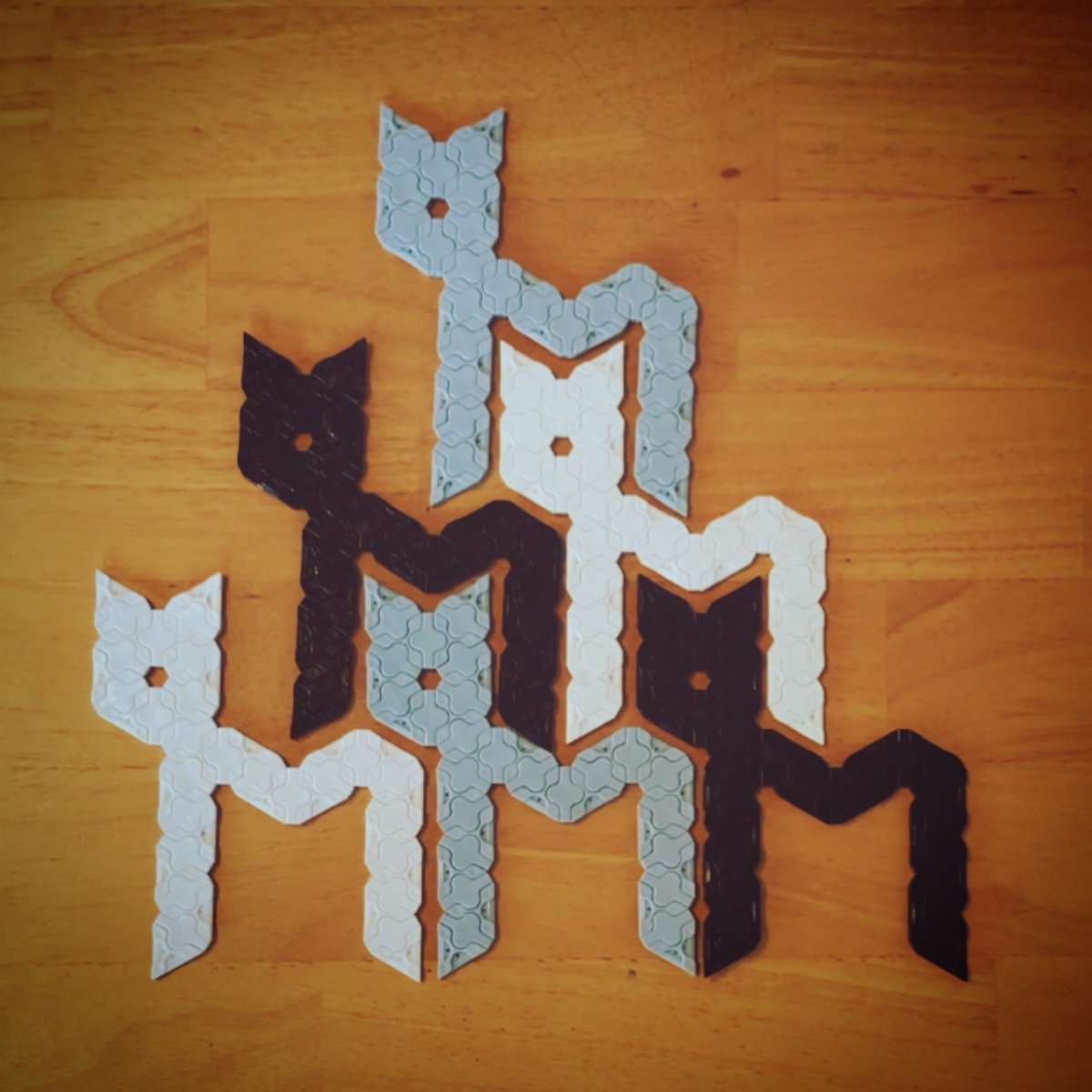 KONISHI Takashige tweet media