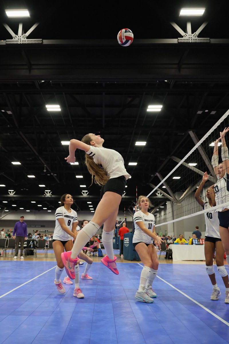 ElleBower tweet media