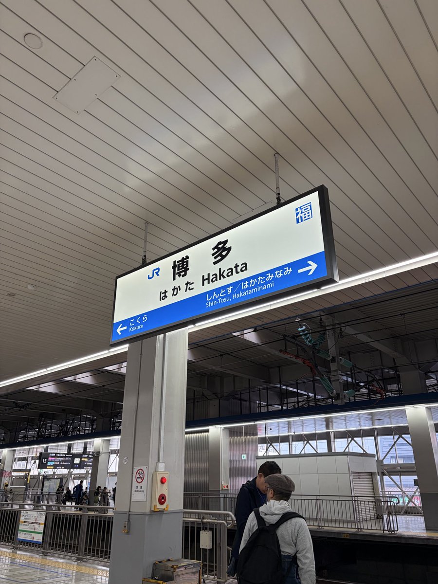 元祖とーいん tweet media