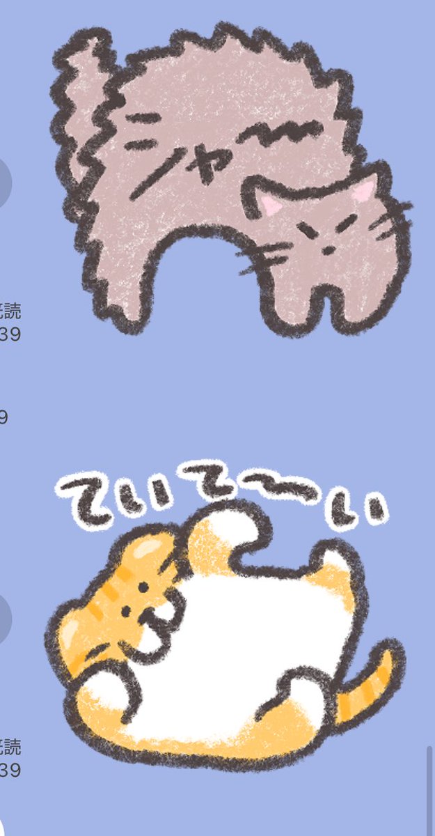 ありがとうございます！！🐱💕