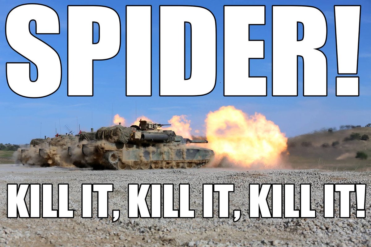 Lee Grant tweet media