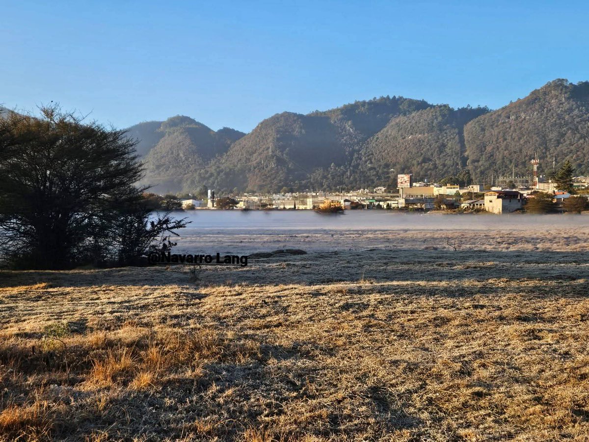 ChiapasMeteo's tweet photo. 🥶 Sorpresiva helada durante el amanecer de este 20 de febrero de 2026, en San Cristóbal de las Casas, Chiapas. De este evento,  @NavarroLang nos comparte estas hermosas fotos.

La mínima registrada por @ConaguaChiapas fue de 3.5 °C en la estación H. Puente Morelos, San Cristóbal https://t.co/kwuBLLnhU1