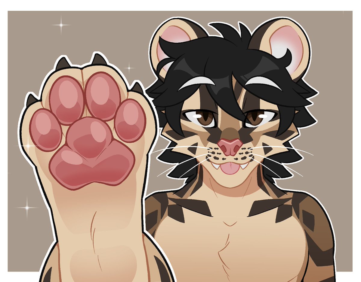 Andy Ocelot 🐆 tweet media