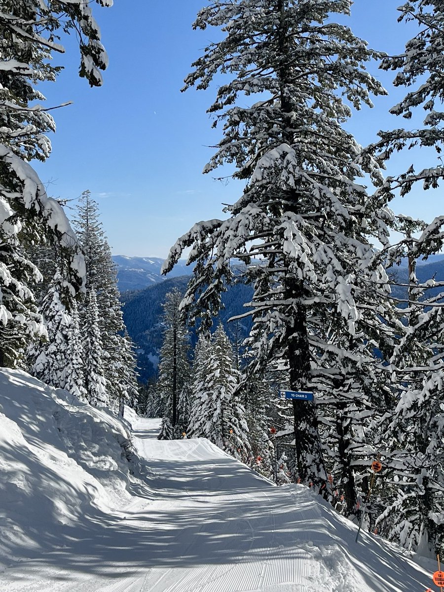 Don Pawluk tweet media