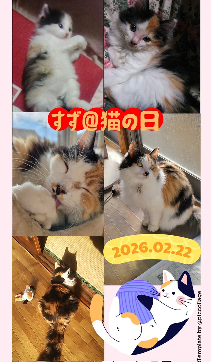 2026.02.22🐱 今年もやってきた猫の日！今日は(いつも)全ての要望に