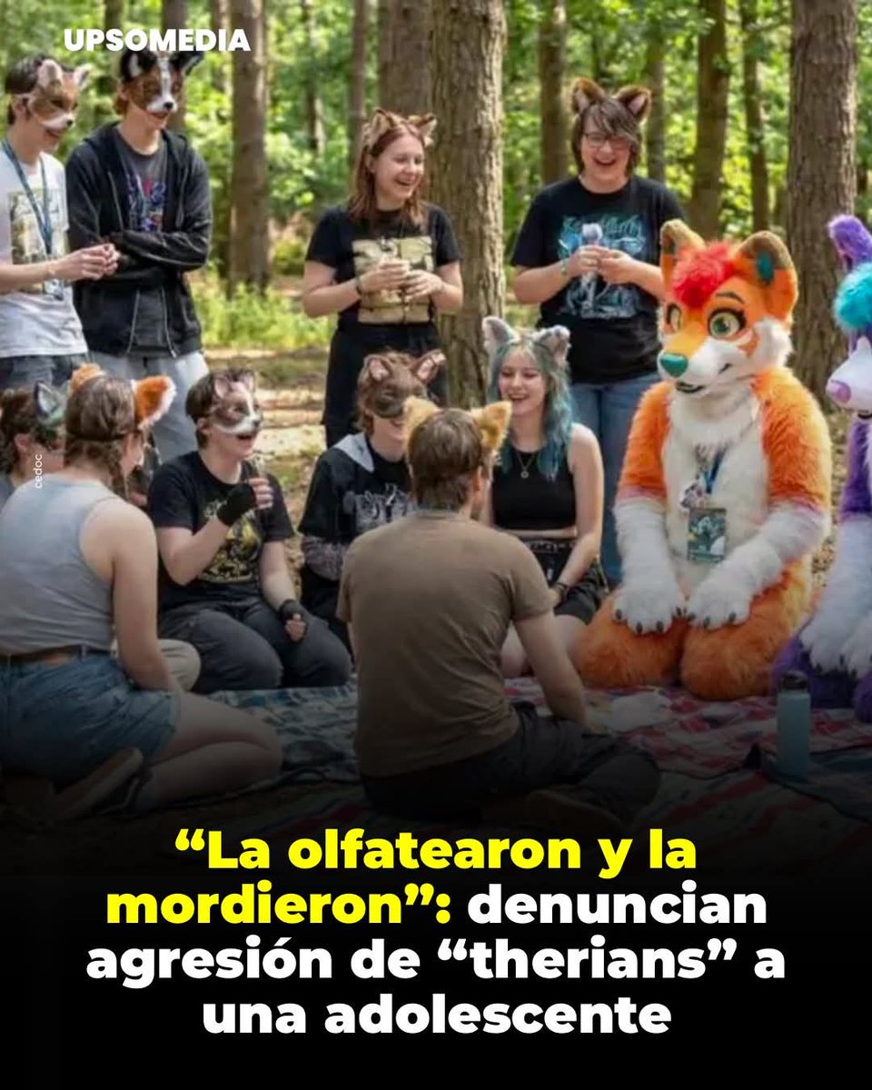 PRolon84977's tweet photo. @atlanticsurff EL PRESIDENTE 🦁 💯 DEBE PROHIBIR A ESOS TARADOS XQ BAJO ÉSA 😂 MÁSCARA, PUEDE EXISTIR UN CHORRO VIOLÍN, ASESINO, ETC. LOS 🐶 ORGINALES😂 😂SE OFENDEN 😂 CUANDO 😂LOS IMITAN 👏💪💪
#BASTADEPAVADAS
#QUEESTUDIEN
#NOSONEJMDENADA https://t.co/cVfYCGEnWx