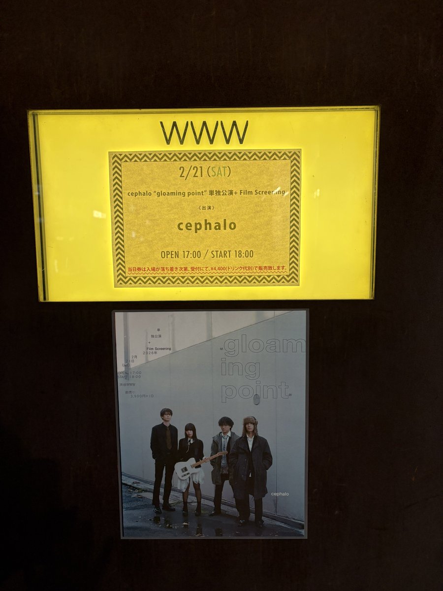 湯ノ浦ユウ/ ゆの tweet media