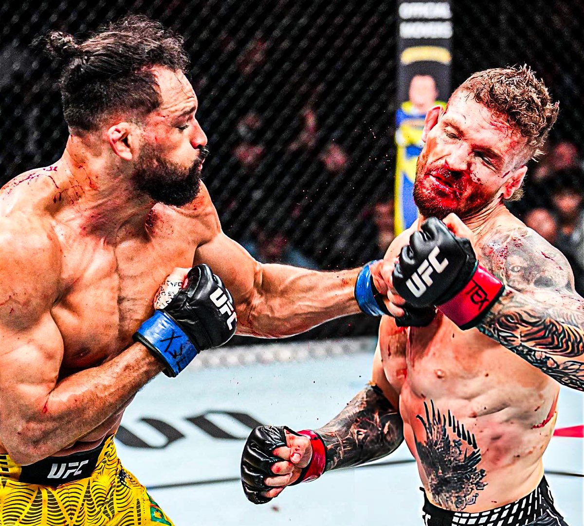 Michel “Demolidor” Pereira tweet media