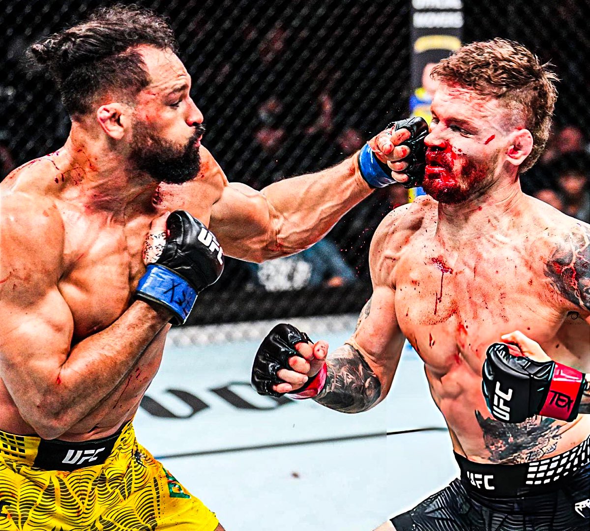 Michel “Demolidor” Pereira tweet media