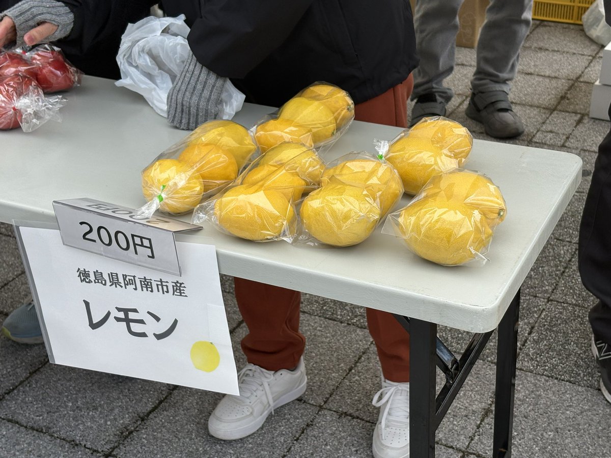 Shikihou4tsu's tweet photo. @bimbombamkun バンくんの竹林を見に、徳島県阿波市役所の竹活祭に来ました。10年前に建てた立派な市役所で出店もあって賑やかです。 https://t.co/qBf5Laz5uu