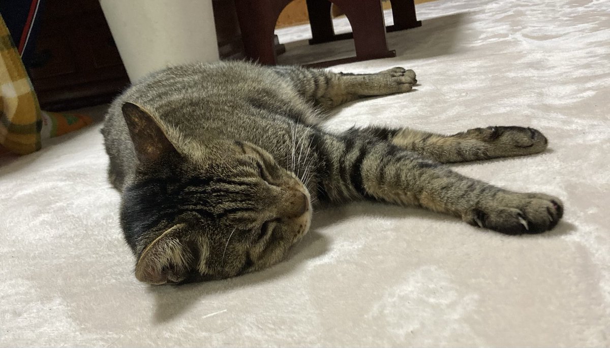 ヤマYama (@kazuki7344) / Posts / X