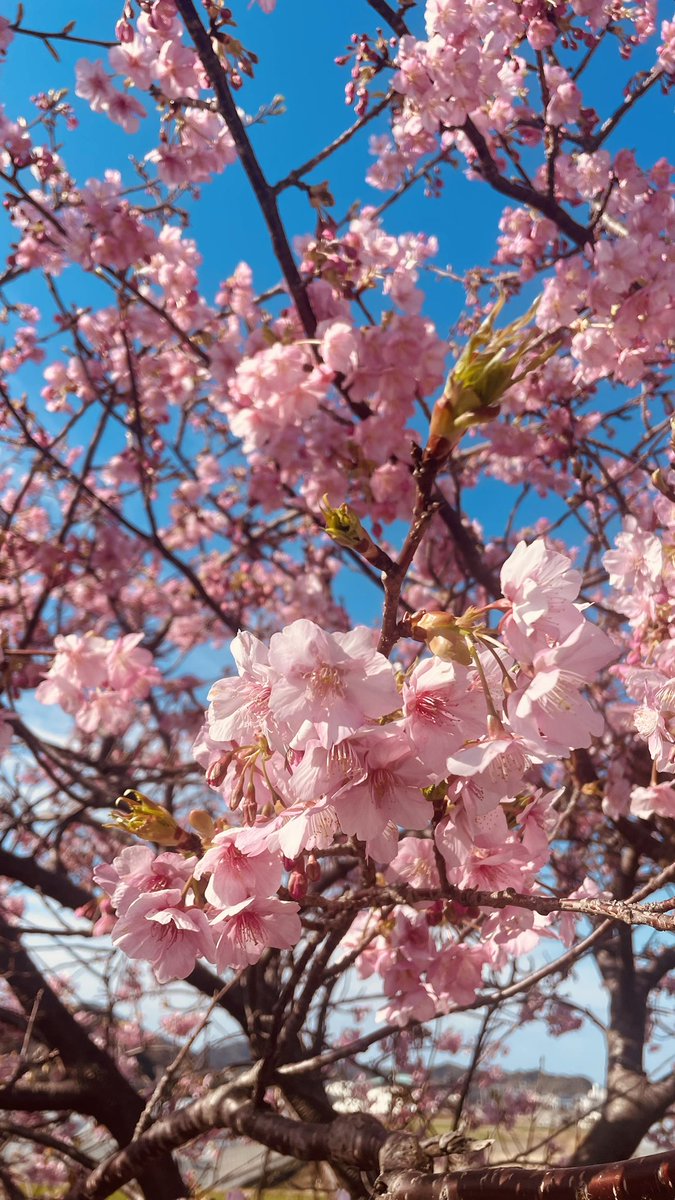 Ninja #Z1000 #Kawasaki #ふくふくの里 #MITSUBAKEYA328 お疲れ様です