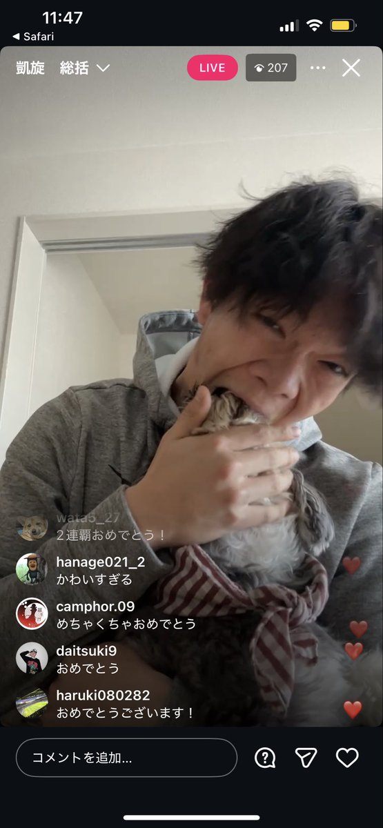 真-お前の負け tweet media