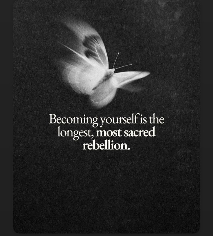 Zenm001's tweet image. 