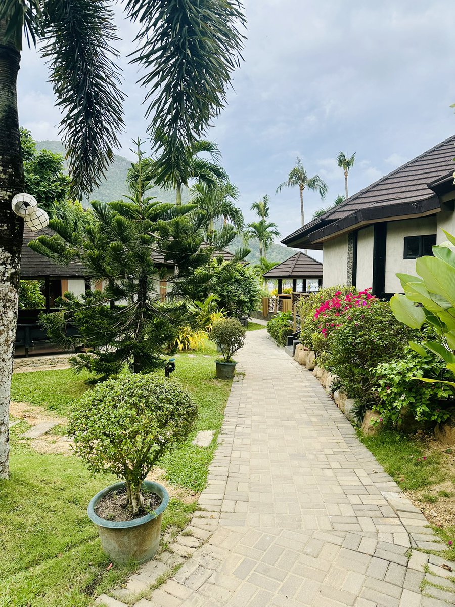 உளவாளி tweet media