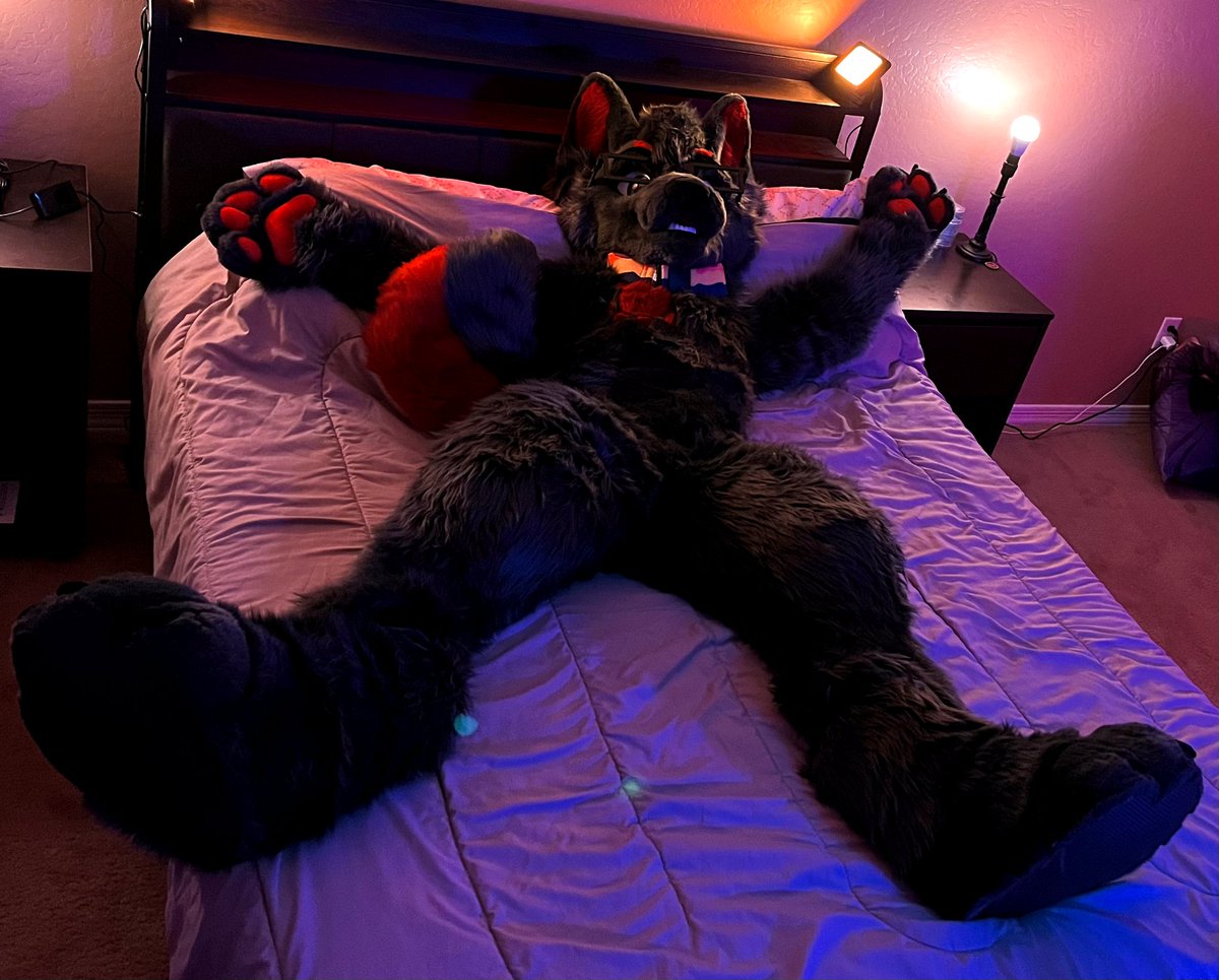 Give me some belly rubs... NO
Give me some chest rubs... WAIT
Give me both. 🥴