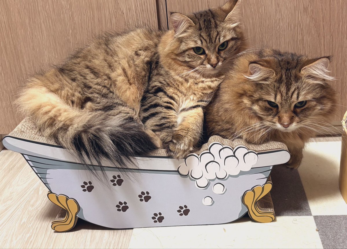 滝太郎 (@tackey_tsubasa) / Posts / X