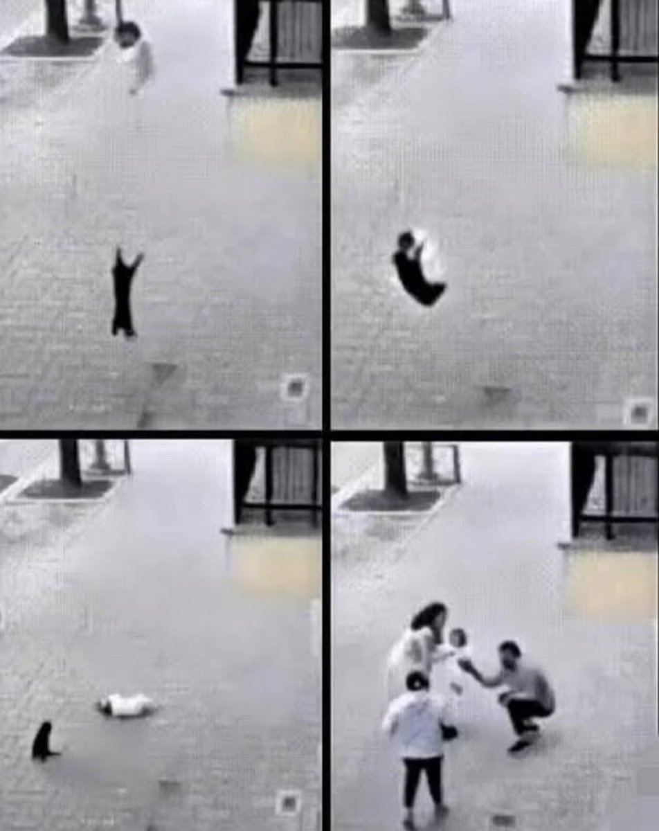 "A tiny baby fell from a high-rise building, and right at that moment a stray black cat was walking below. In one incredible jump, the cat sprang up, caught the child in mid-air, and broke the fall with its own body. The baby lived. This really happened—it’s not some made-up