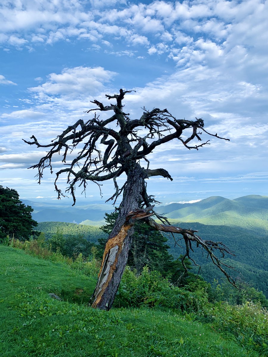 liz_july4th's tweet photo. These photos were taken during my first drive of my beloved #BlueRidgeParkway #NorthCarolina. The first photo was taken near the town named #Switzerland. It had rained, and the sky was dancing with color and clouds. I was traveling to #MountMitchell. https://t.co/AkcLNujB5d
