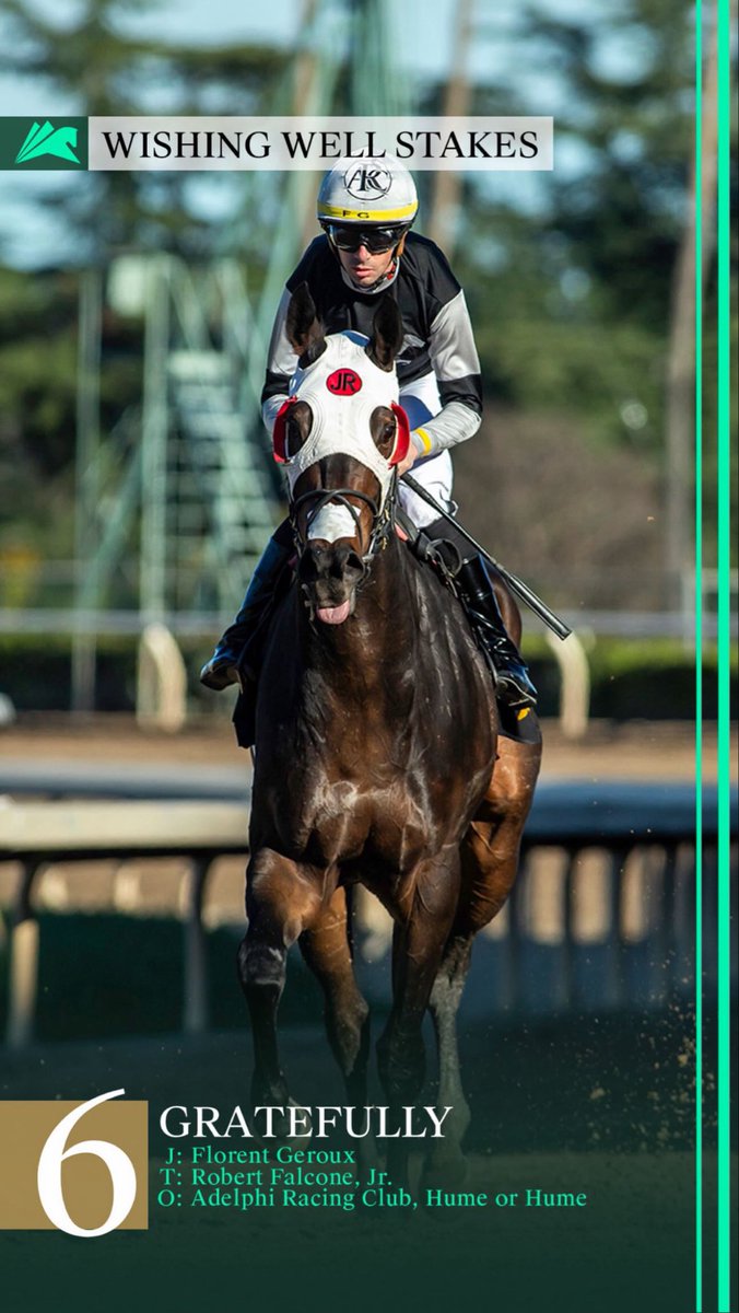 Robert N. Falcone Jr. Racing Stable tweet media