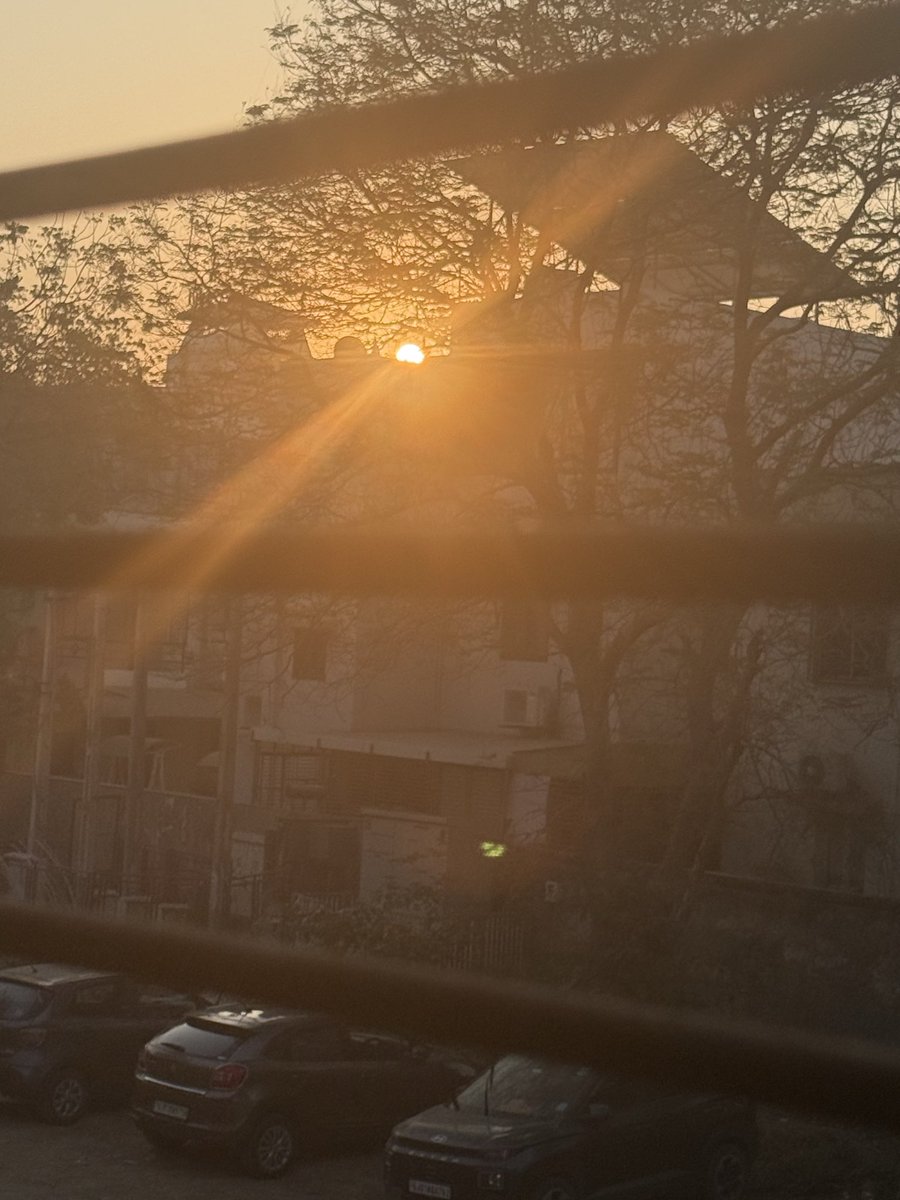 SA_Node_Impulse's tweet photo. Sunrise 🌅 , Lily and Peacock 🦚 …..simply beautiful Sunday morning at Home https://t.co/dfO0lwUQVo