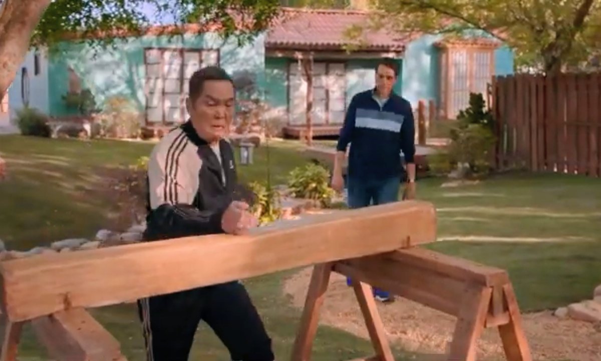 Sometimes, late at night, I sit alone and wonder where the hell Chozen got that big a$$ block of wood!  #CobraKai
