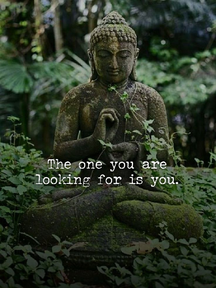 Zen masters (@zenm001) on Twitter photo 