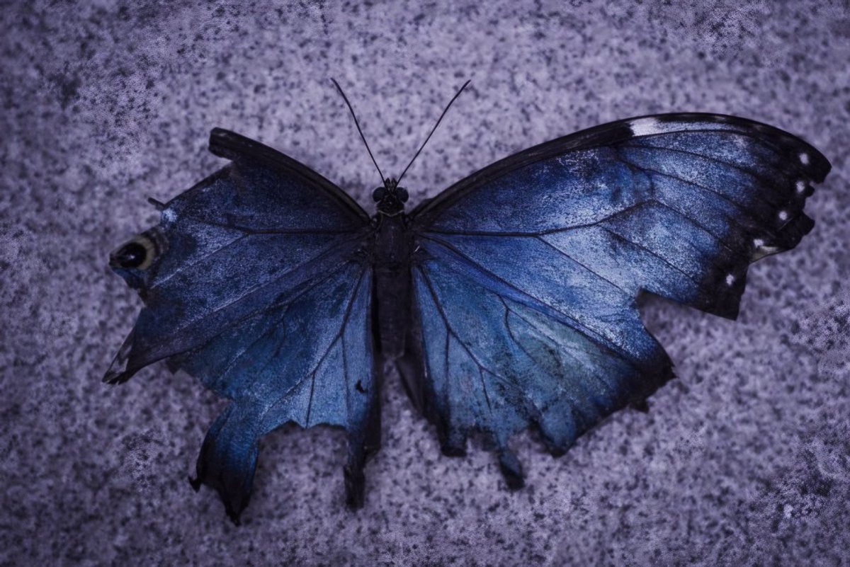 ㅤㅤㅤ𝐘𝐨𝐮𝐫 𝐰𝐢𝐧𝐠𝐬 𝐡𝐚𝐯𝐞 𝐛𝐞𝐞𝐧 𝒃͜𝒓𝒐͡𝒌𝒆͜𝒏.
  𝑇ℎ𝑒𝑟𝑒 𝑖𝑠 𝑛𝑜 ℎ𝑜𝑝𝑒 𝑜𝑓 𝒔͡𝒖͜𝒓͡𝒗͡𝒊𝒗𝒂𝒍.͡