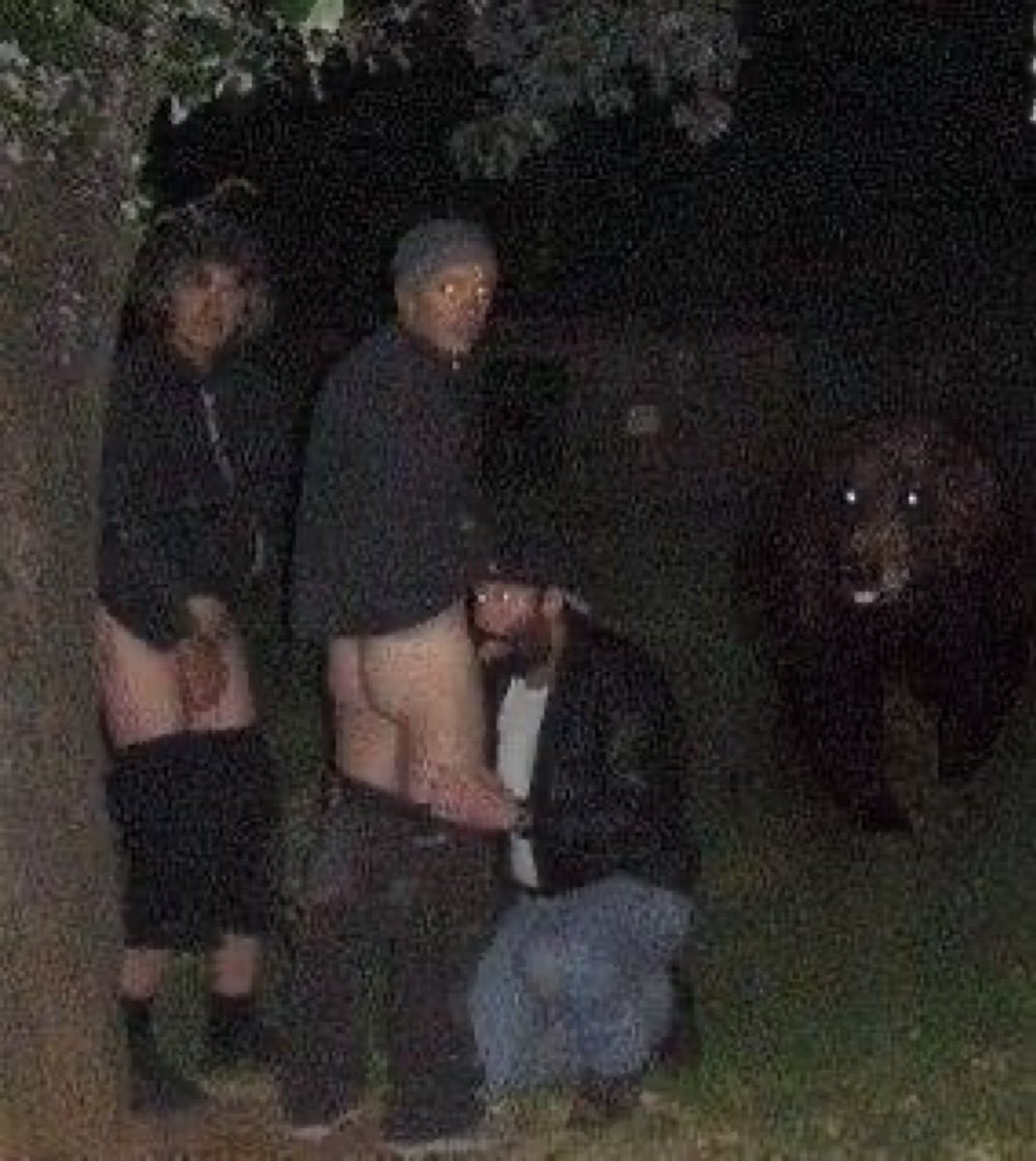 guilérme tweet media