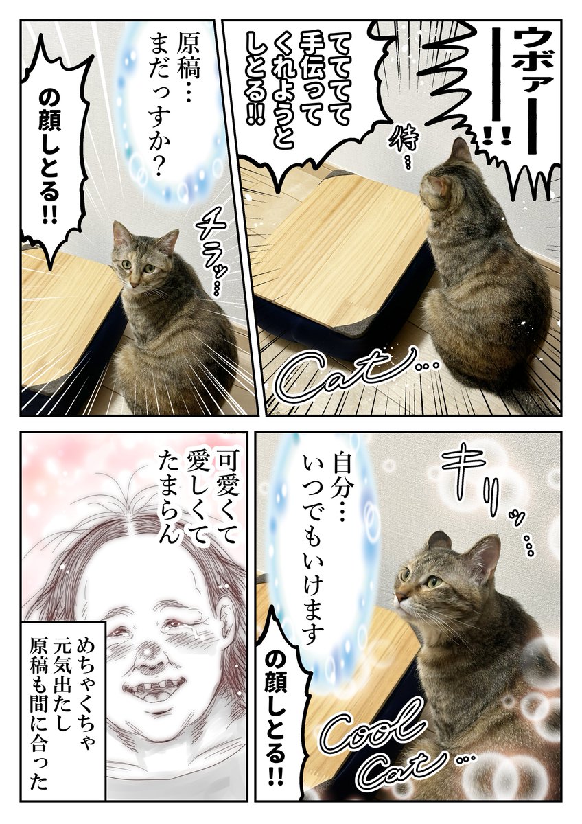 ⑥ネコとの生活 