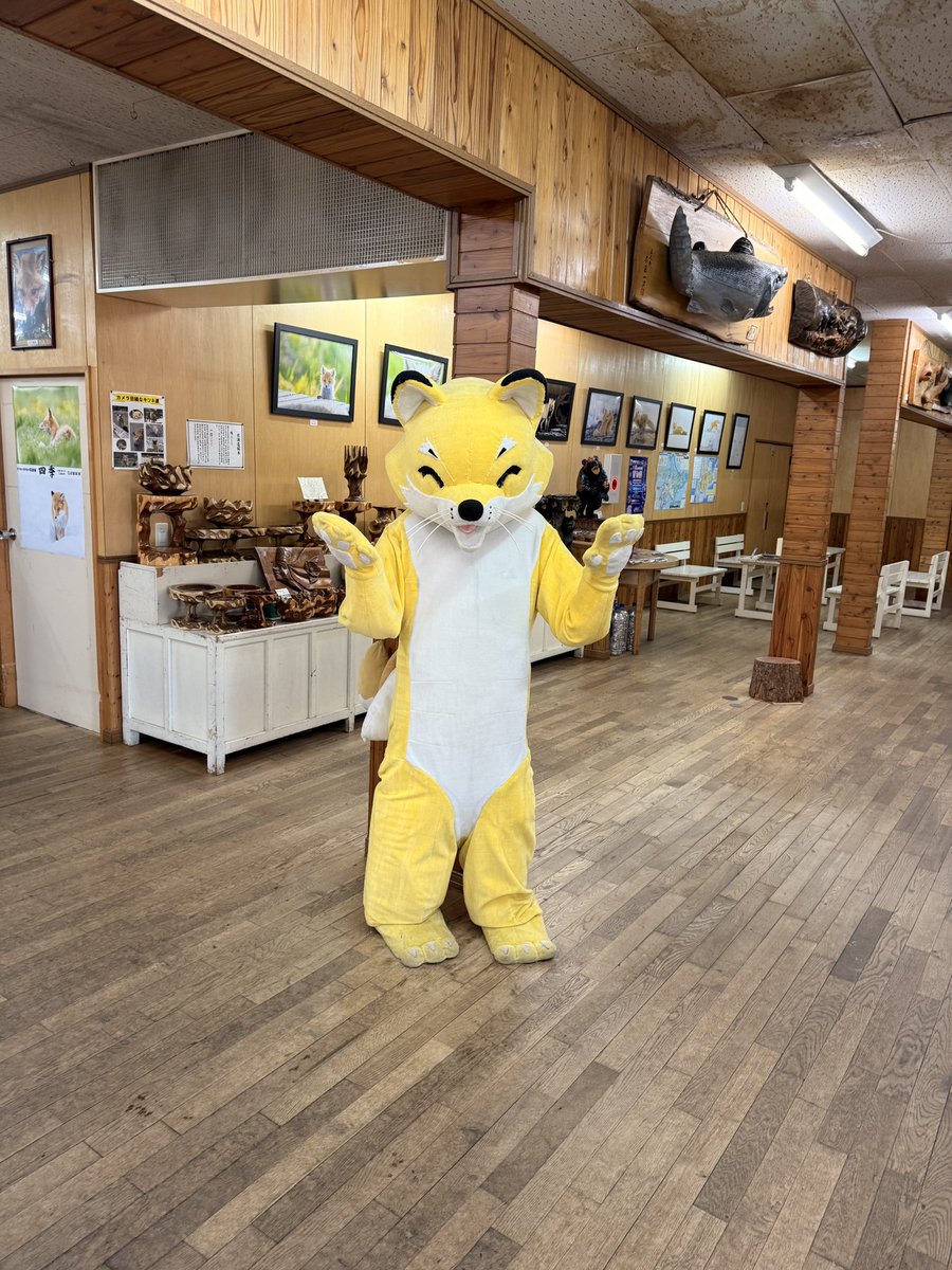SyroDra's tweet photo. お久しぶりです！
北海道の北キツネ牧場に遊びに行きました！可愛い狐が多くて幸せだった！
700キロ運転してすごく疲れてちるこん1日目参加できなかった😩 https://t.co/6GwuijR1xe