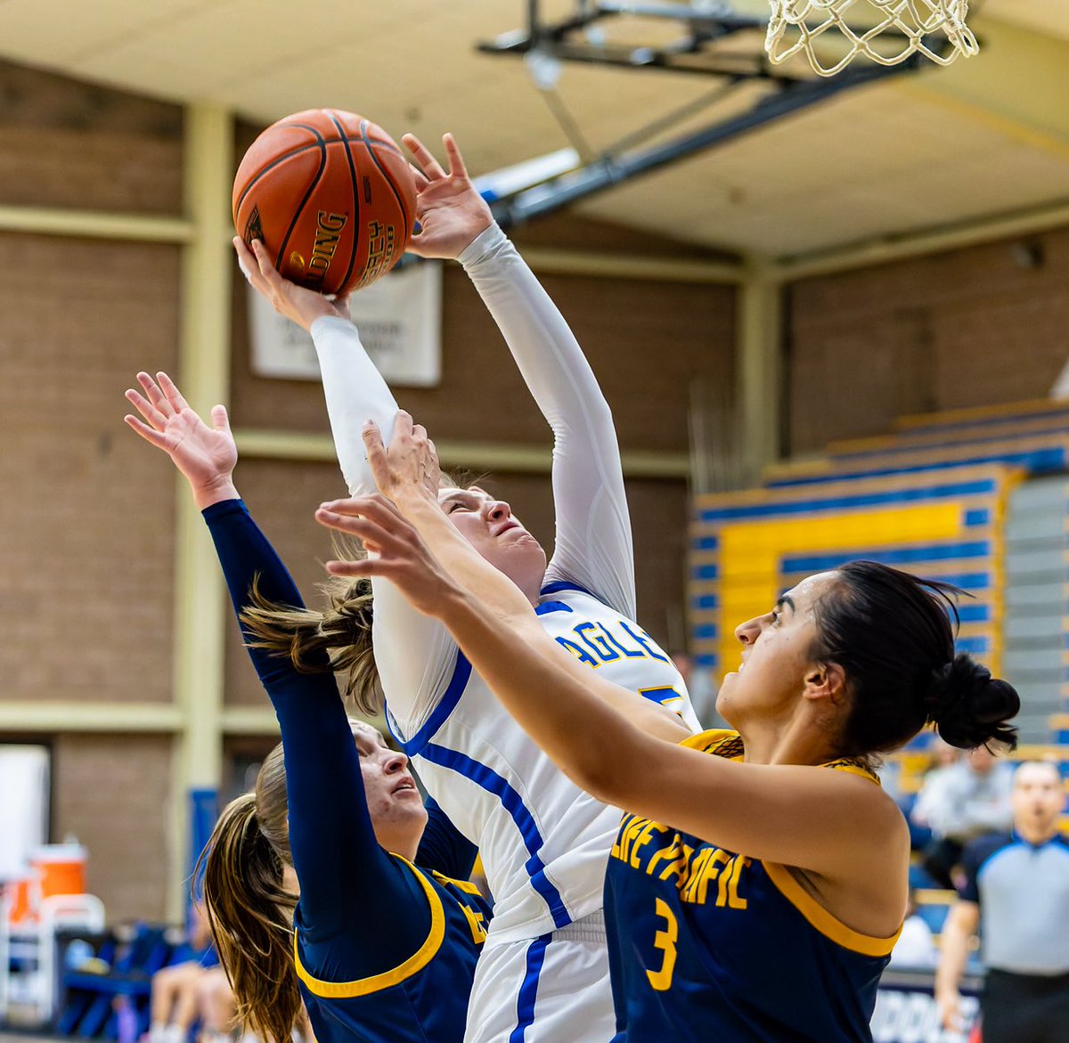 End of an era...Gonna miss cheering on #35. From a 🐺to a 🦁to an 🦅, you always left it all on the court, @Kate_mcbride22!