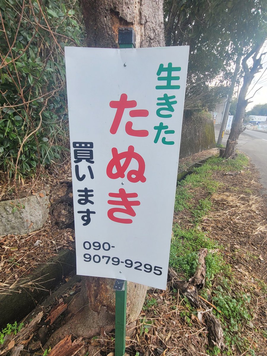 TEIJI🌹 (@TEIJI747) / Posts / X