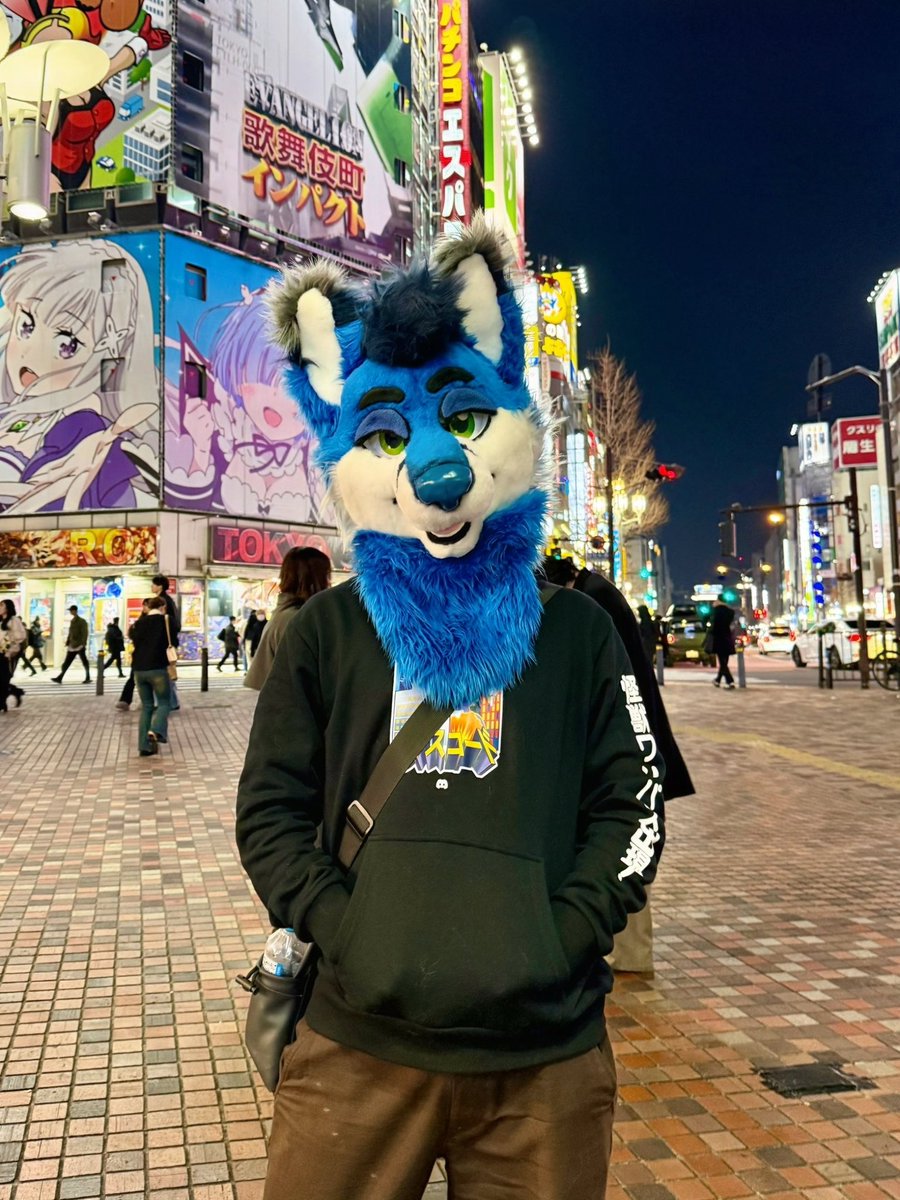 Archer Fox 🦊 🔜 LVFC tweet media