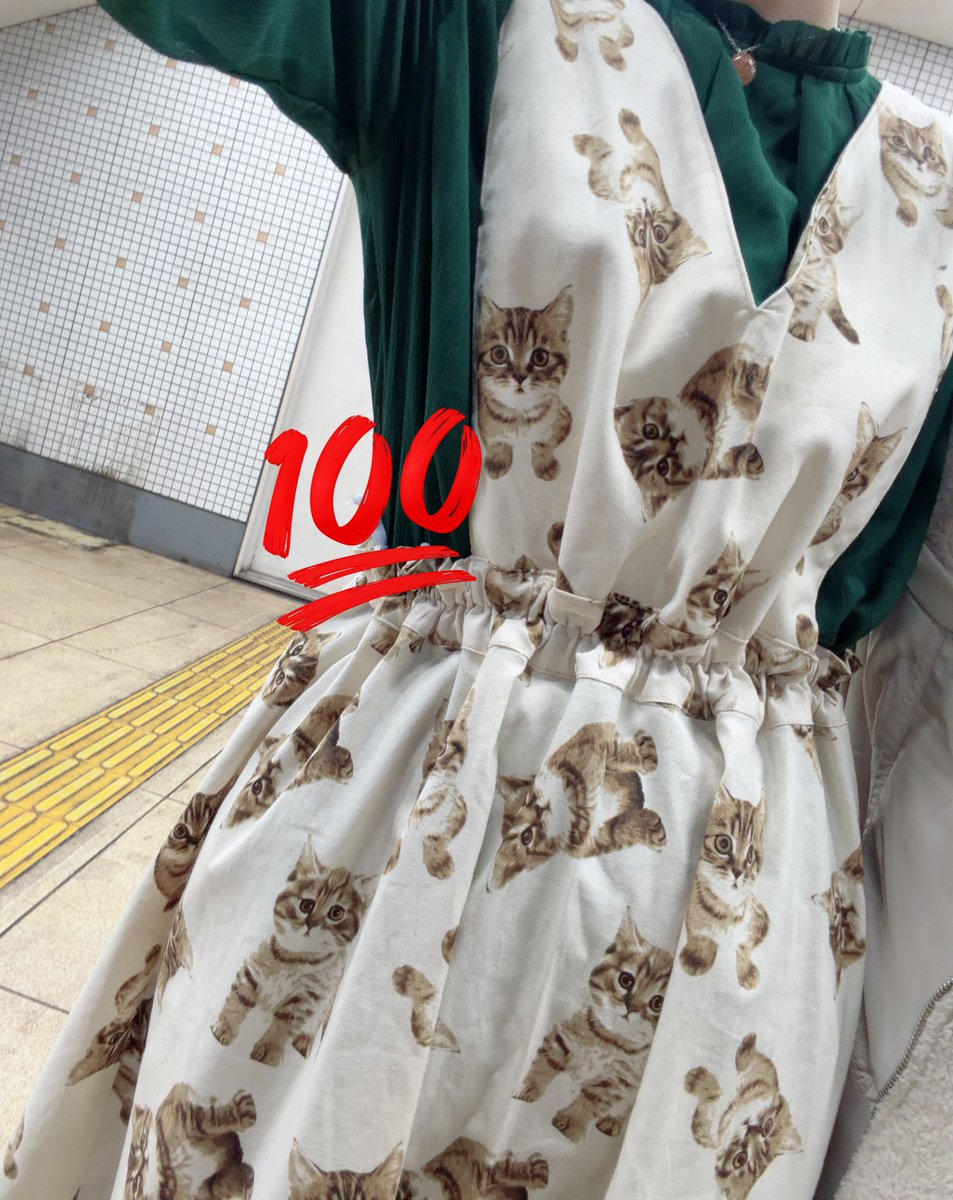 ただ可愛い服を着てお散歩しただけの人である。
このワンピースを着て猫の日にお出かけするというのが一番の目的だったから良しです