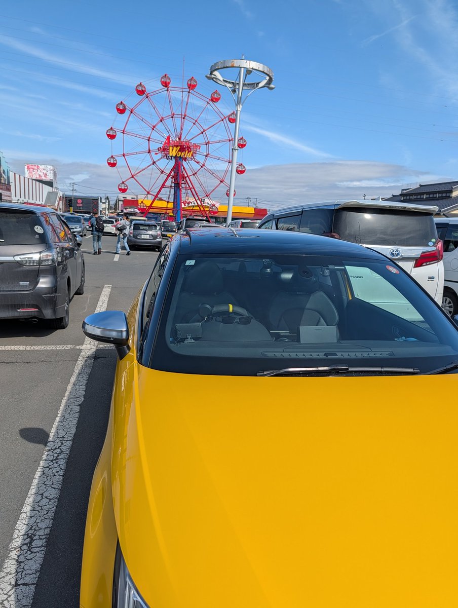 ぬこの人ゴンチャン tweet media