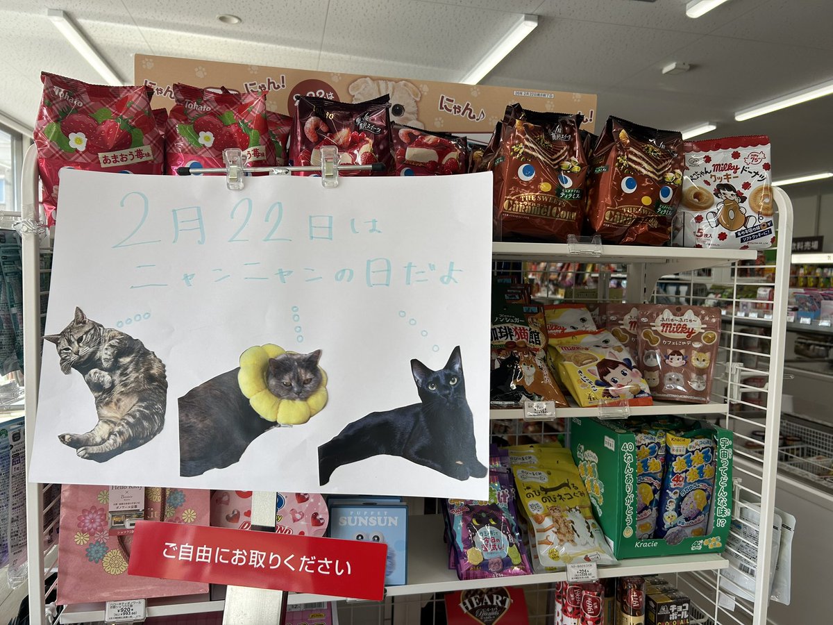 daimachi04's tweet photo. 今日は猫の日です🐈

ぜひ癒されにおいで下さい☺️ https://t.co/pxtMkMrXmp