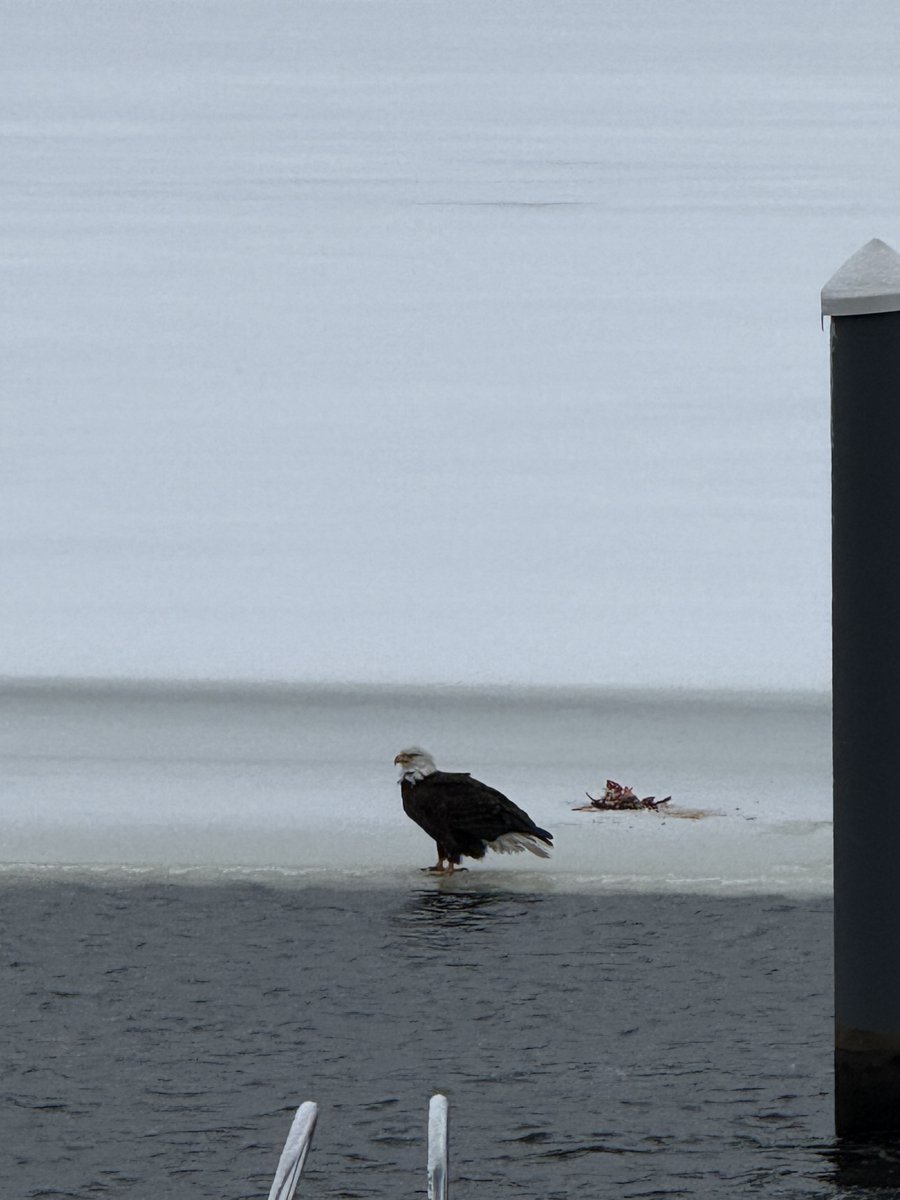 Only In Boston tweet media