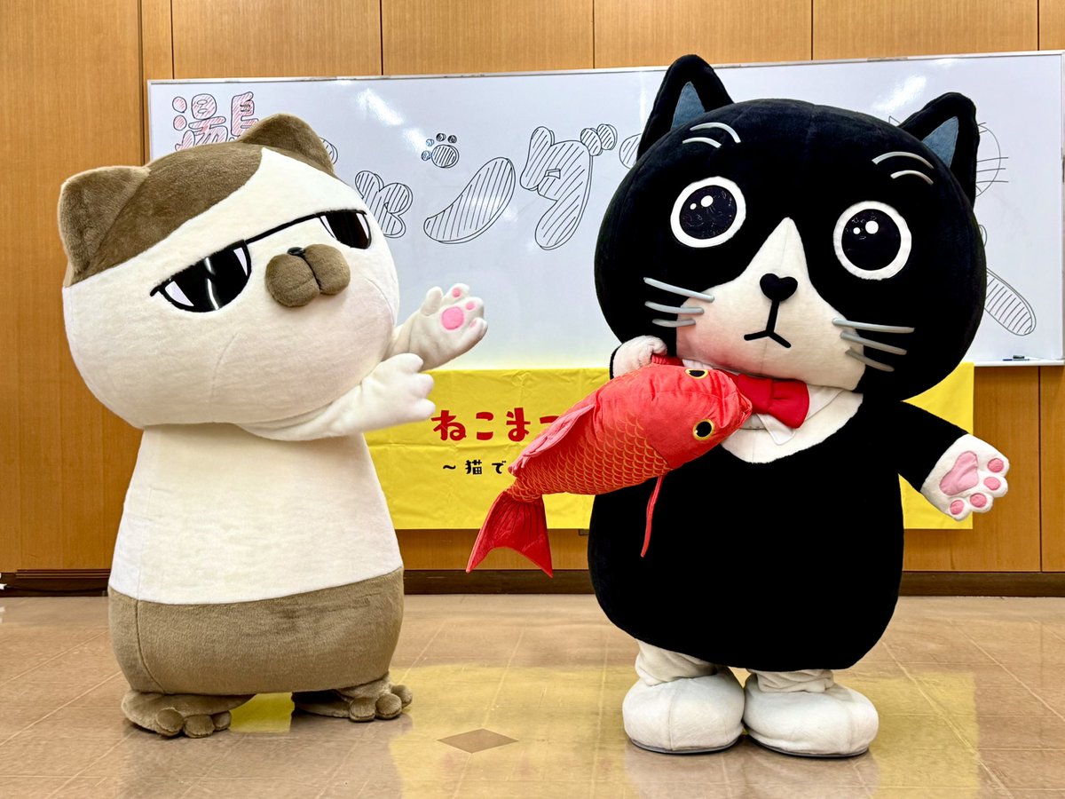 本日2月22日は猫の日🐈 なので『湯島ニャンダフルフェス』へ🐱 お