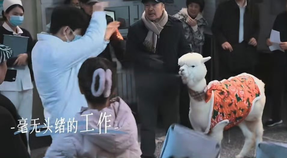 อุ้มอัลปาก้าวันนั้น                 สู่วันนี้55555