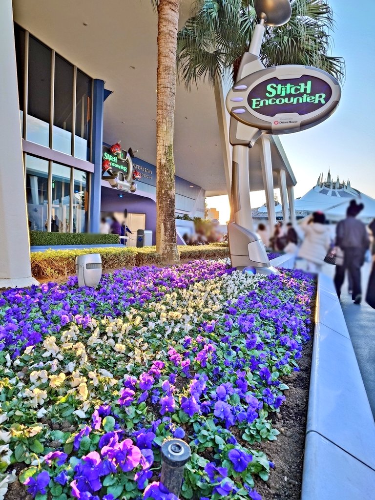 花と緑のTDRブログ_ユキヤナギ tweet media