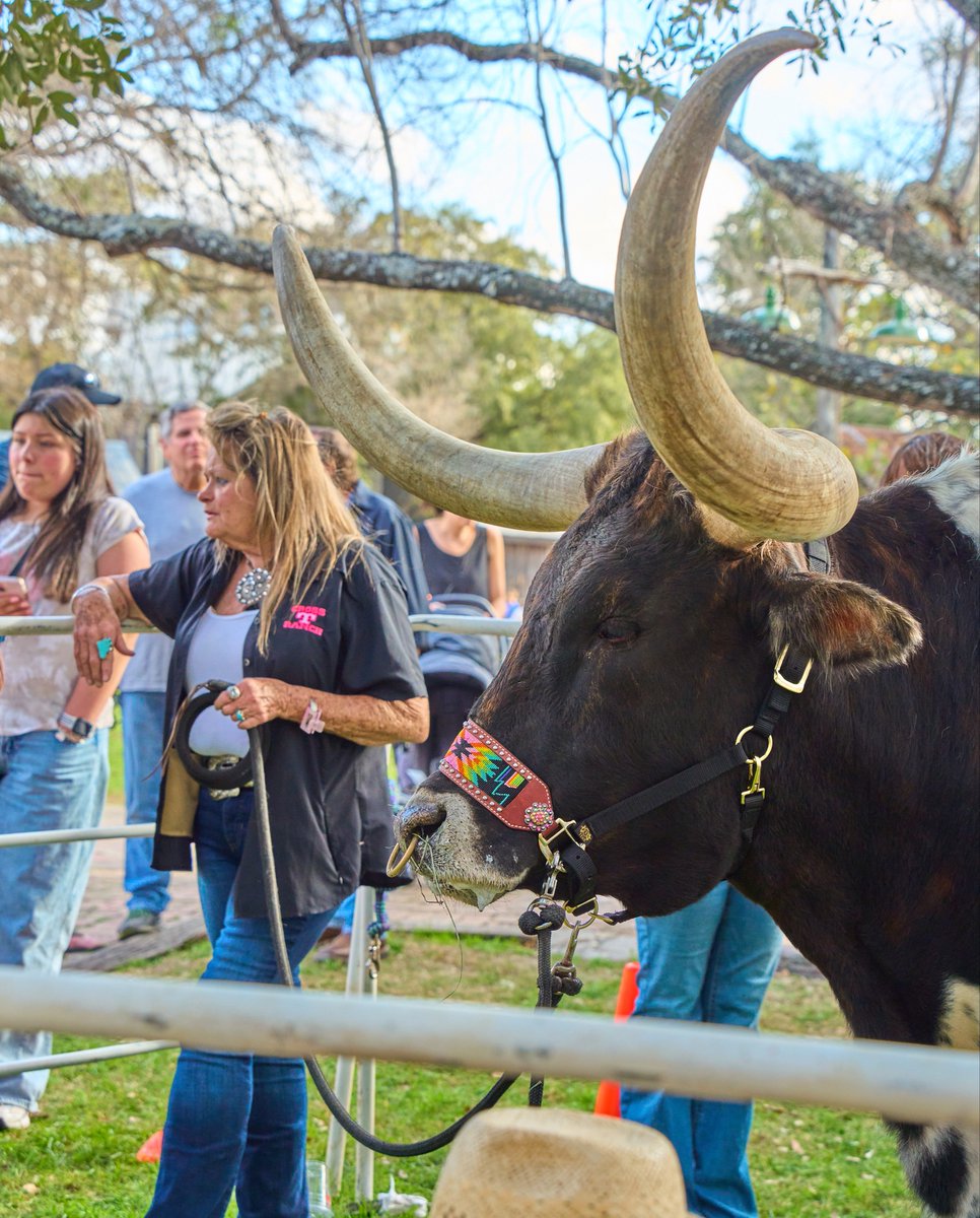 Visit NBTX tweet media