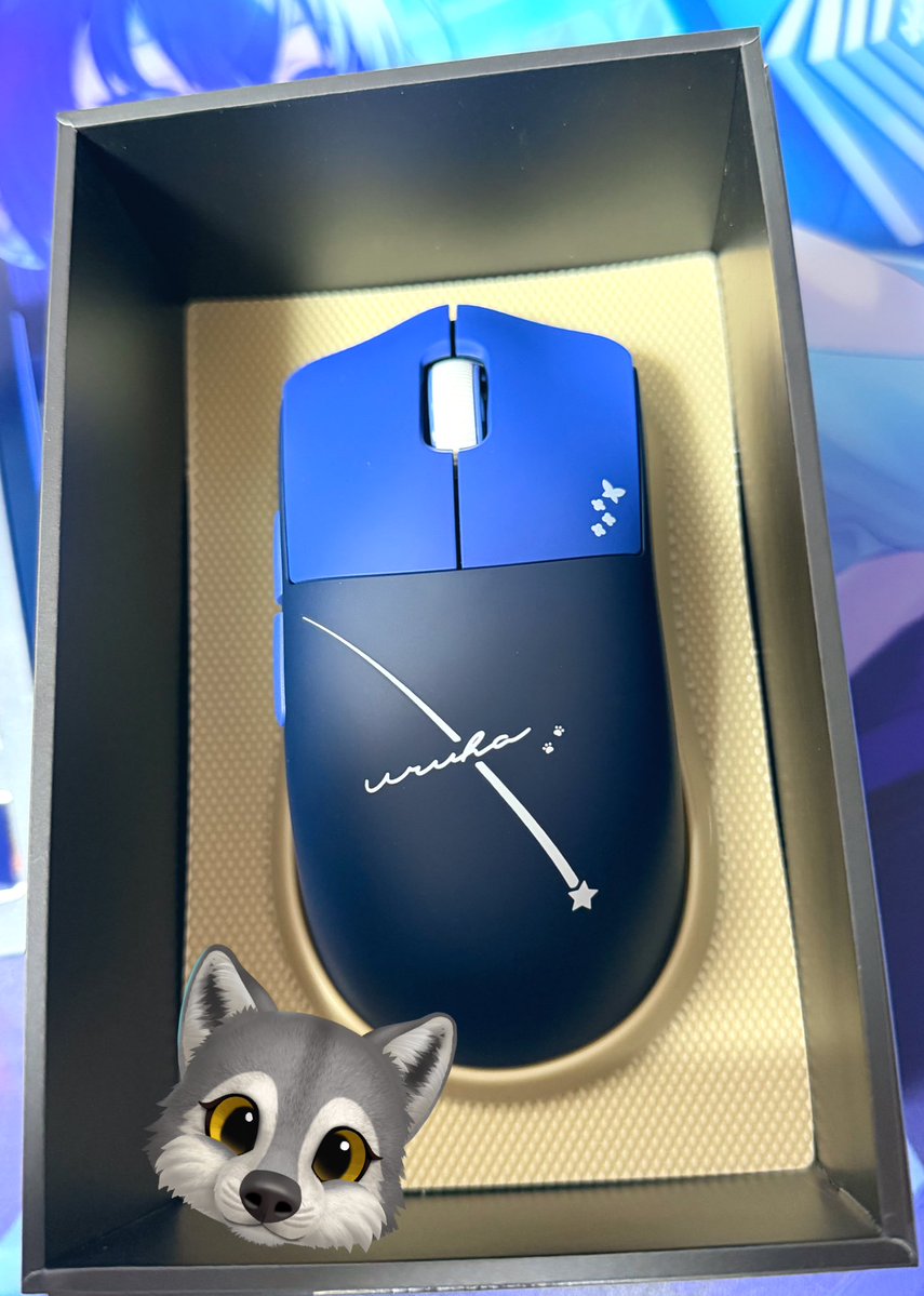 青空（ソラ） (@sora_tobunyan) / Posts / X