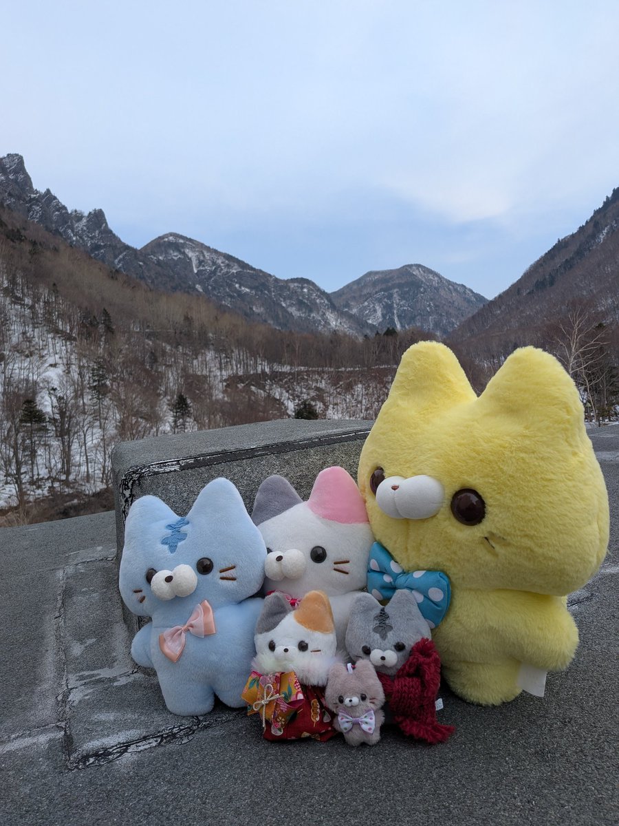 ぽんぽこ凛 (@ponpokorin1226) / Posts / X