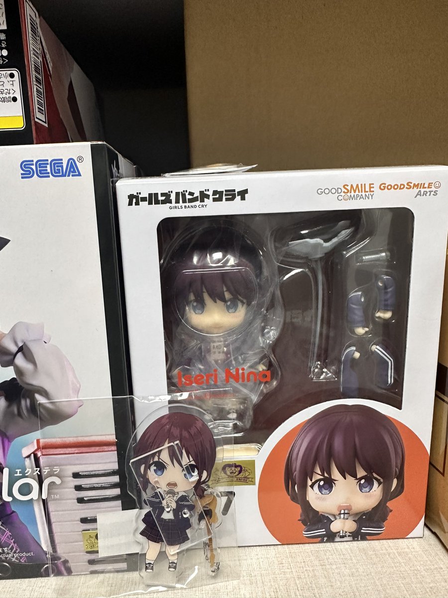 표독하게 생겨야하는데 참하게 생긴아이가 집에 왔어요😆